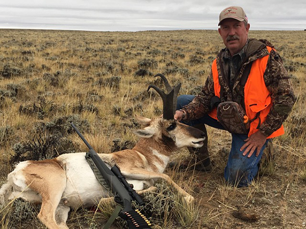 New Mexico Pronghorn Antelope