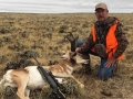 Pronghorn Antelope