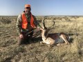 New Mexico Pronghorn Antelope