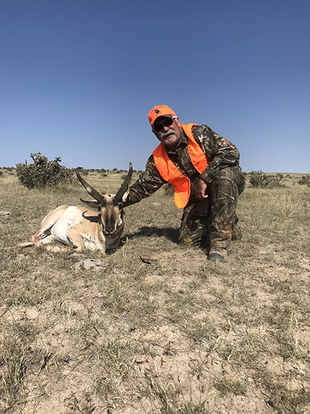 New Mexico Pronghorn Antelope