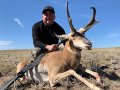 New Mexico Pronghorn Antelope