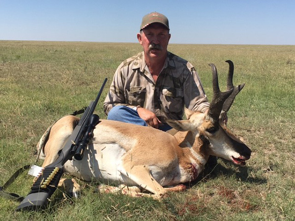 New Mexico Pronghorn Antelope