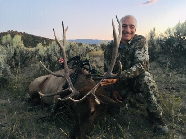 New Mexico Bull Elk