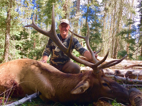 New Mexico Bull Elk