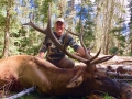 new mexico bull elk