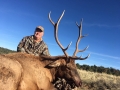 new mexico bull elk