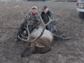 new mexico bull elk