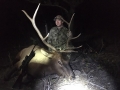 new mexico bull elk