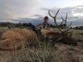 new mexico bull elk
