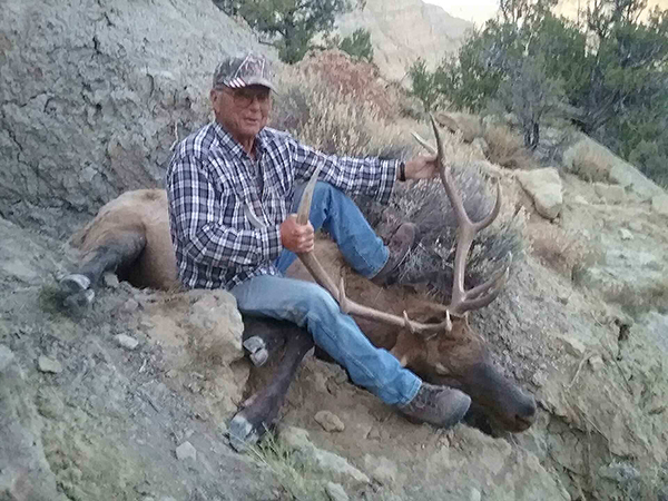 New Mexico Bull Elk