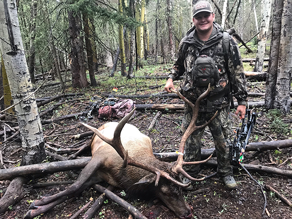 New Mexico Bull Elk