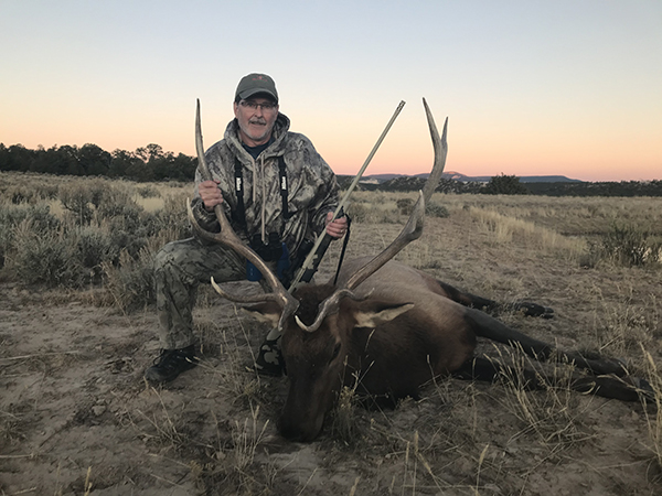 New Mexico Bull Elk