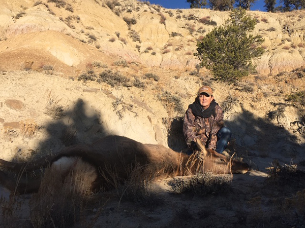 New Mexico Cow Elk