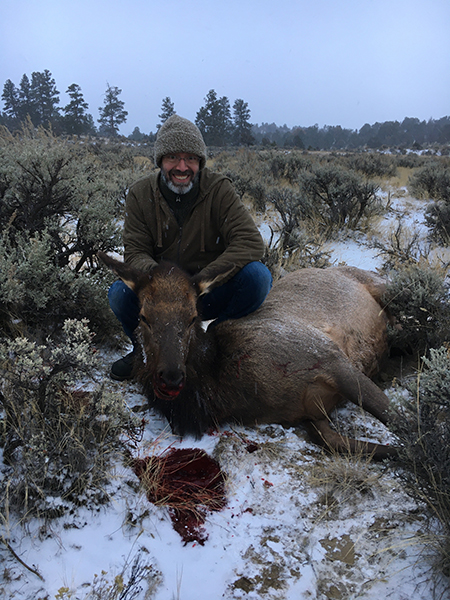 New Mexico Cow Elk