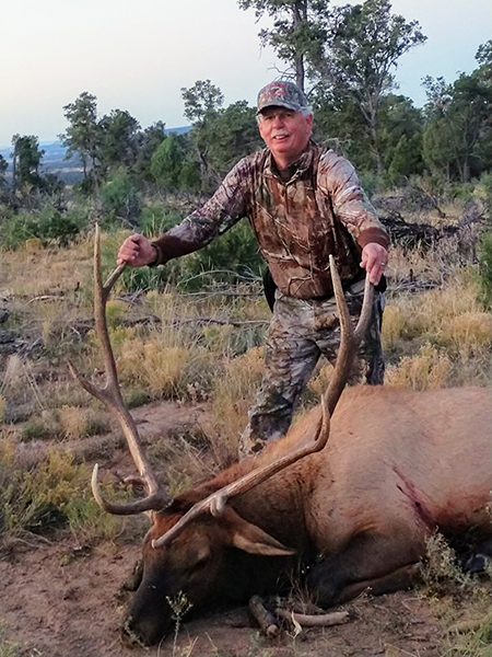 New Mexico Bull Elk