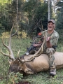 New Mexico Bull Elk