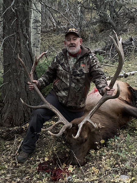 New Mexico Bull Elk