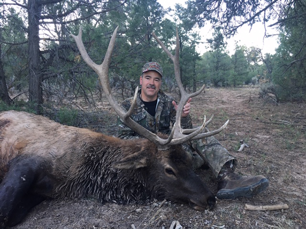 New Mexico Bull Elk