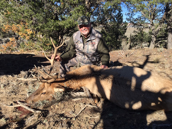 New Mexico Bull Elk