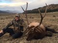 New Mexico Bull Elk