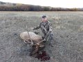 New Mexico Bull Elk