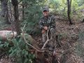 New Mexico Bull Elk