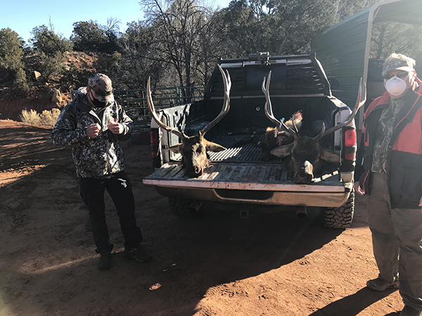 New Mexico Bull Elk Racks