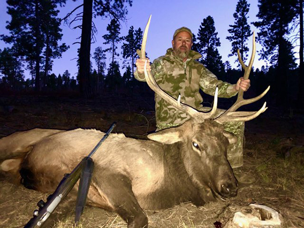 New Mexico Bull Elk