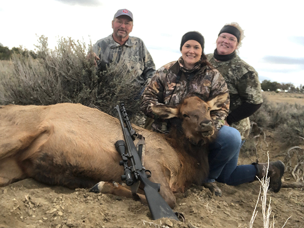 New Mexico Cow Elk