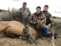 New Mexico Bull Elk