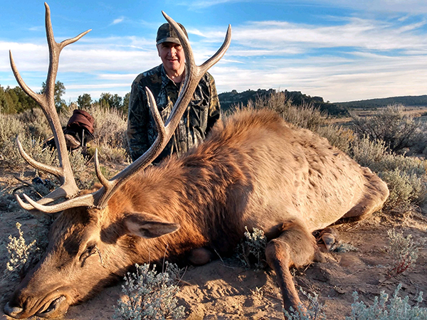 New Mexico Bull Elk