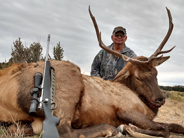 New Mexico Bull Elk