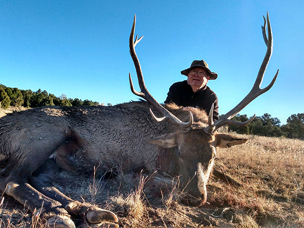 New Mexico Bull Elk