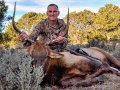 New Mexico Bull Elk