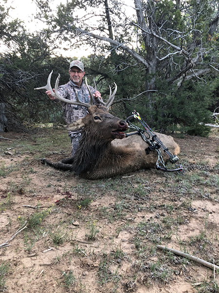 New Mexico Bull Elk