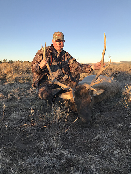 New Mexico Bull Elk