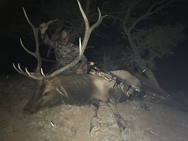 New Mexico Bull Elk