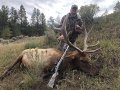 New Mexico Bull Elk