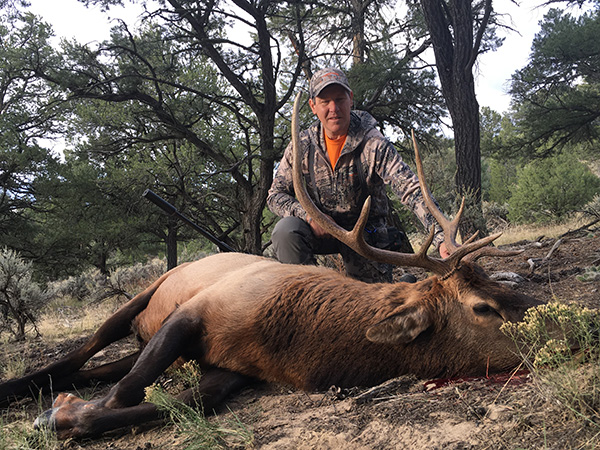 New Mexico Bull Elk