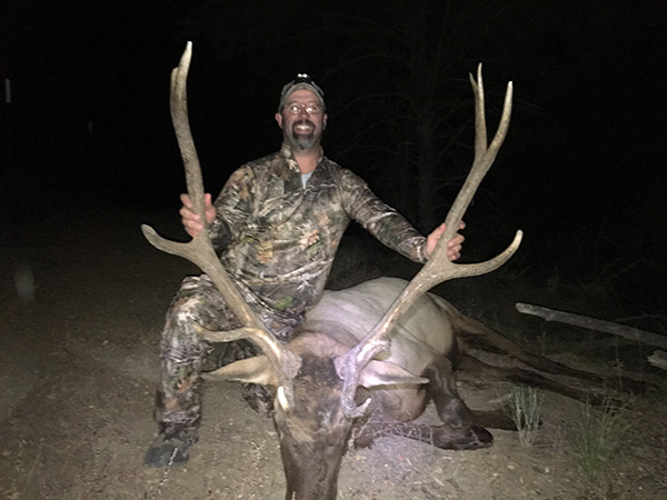 New Mexico Bull Elk