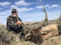 New Mexico Bull Elk