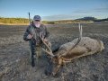 New Mexico Bull Elk