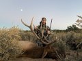 New Mexico Bull Elk