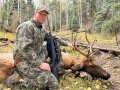 New Mexico Bull Elk