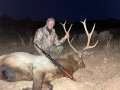 New Mexico Bull Elk