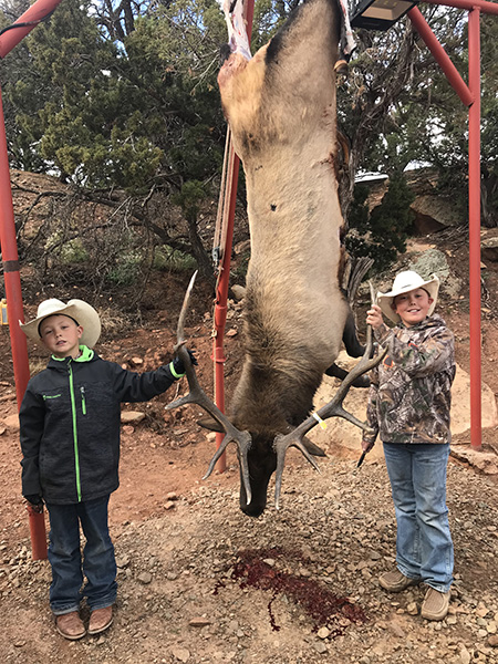 New Mexico Bull Elk