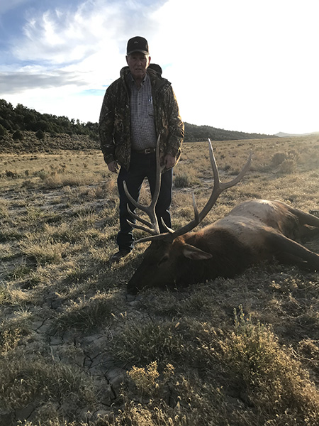 New Mexico Bull Elk