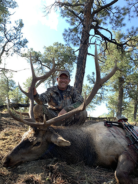 New Mexico Bull Elk