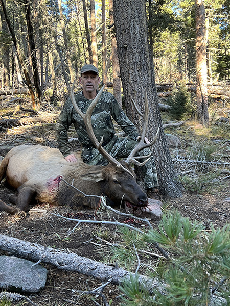 New Mexico Bull Elk