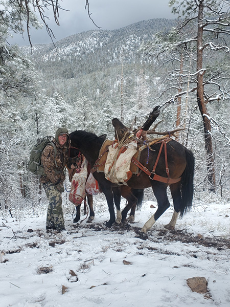 New Mexico Bull Elk